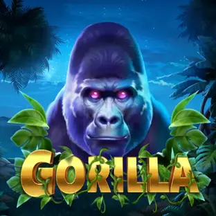 gorilla_animated_square_small.webp